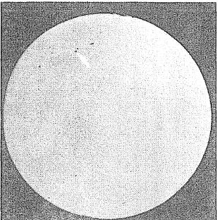 針狀聚集物，如圖1所示